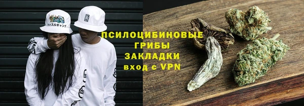 гидра Пестово