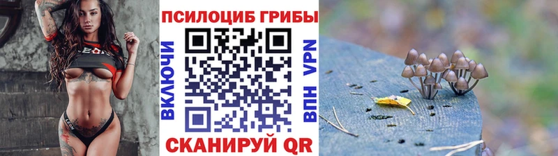 сайты даркнета состав  Ипатово  Псилоцибиновые грибы мухоморы 