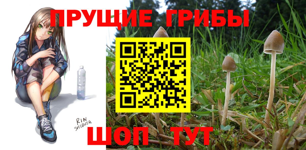 купить закладку  Ипатово  Галлюциногенные грибы Psilocybine cubensis 