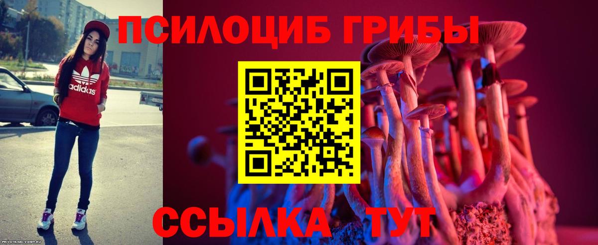 Ипатово  Псилоцибиновые грибы мухоморы  Вход с VPN 